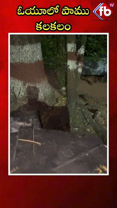 ఓయూలో పాము కలకలం #short #osmaniauniversity #snake  | FBTV NEWS