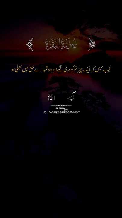 Surah Al Baqarah Verses|Urdu translation|