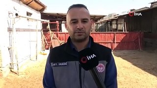 Veteriner hekimden kurbanlıklarda yaş ve küpe uyarısı