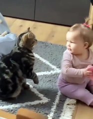 Cute baby girl and cat video