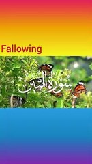 "Islamic Knowledge: روشنی کی راہ"#viral#tranding