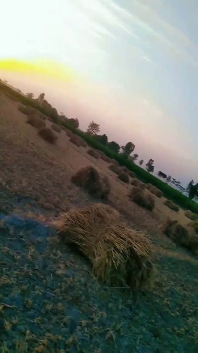 My first vlogs please like and share jarur Karen