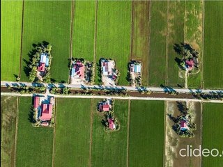 Escape the City, Embrace the Green: Unveiling Mini Farm Plots in South Delhi
