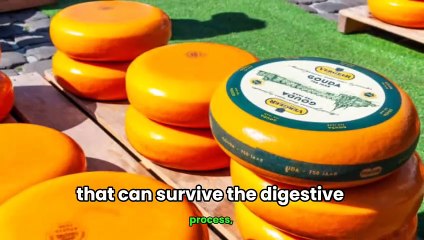 Top Probiotic Foods You Need for a Healthy Gut!