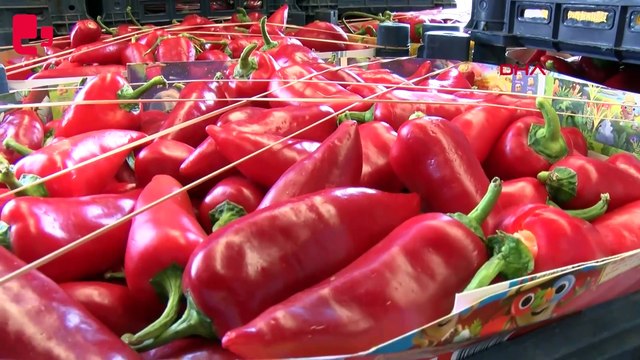 Tarlada kilosu 15, halde 20 lira olan kapya biber, markette 80 lira