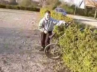 Roue juste devant un buisson