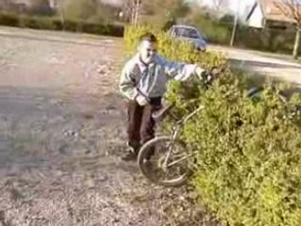 Roue juste devant un buisson