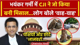 CJI DY Chandrachud: गर्मी में Supreme Court में क्या हुआ, तारीफ हुई| Heat Wave News | वनइंडिया हिंदी
