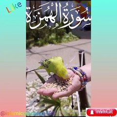 "Islamic Knowledge: روشنی کی راہ"#viral#tranding