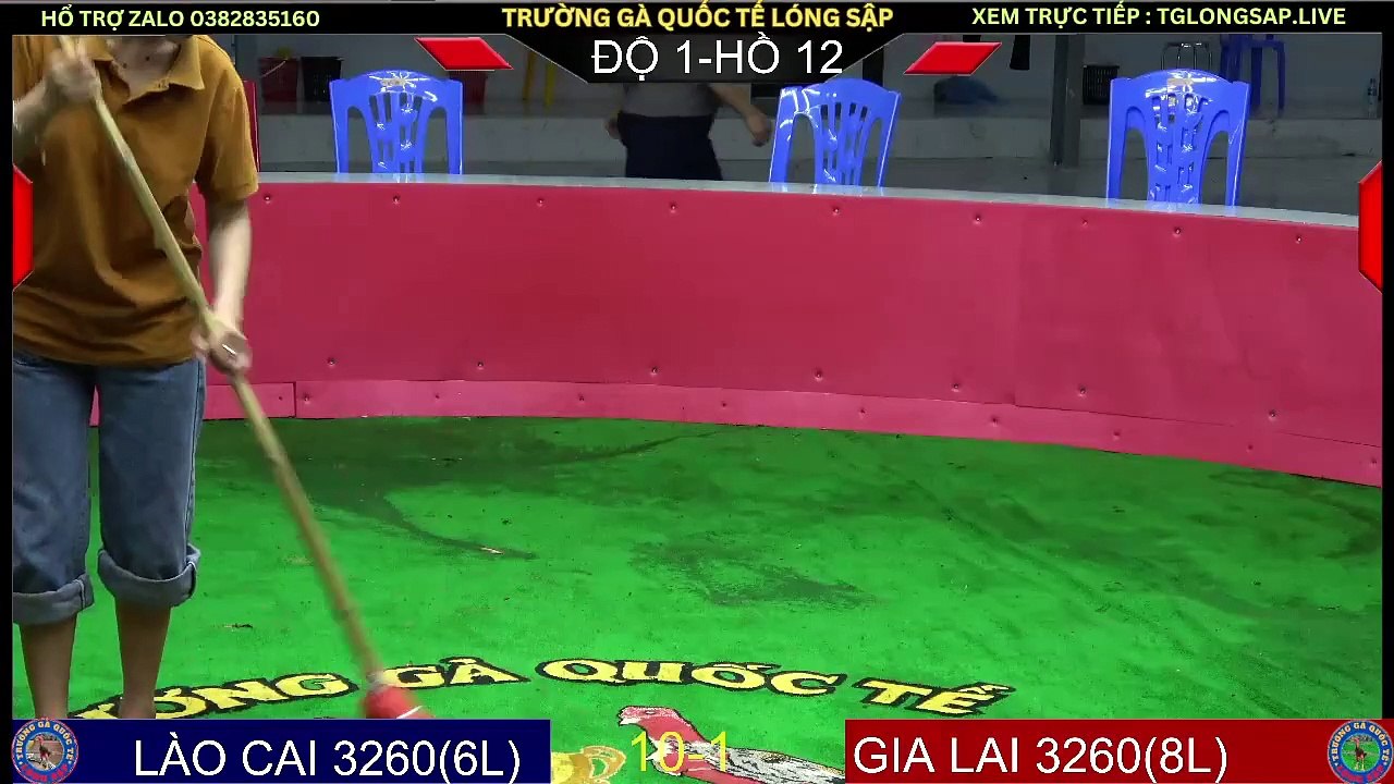 ĐÁ GÀ C1 ZALO 0382835160 VIDEO GÀ CHỌI C1 LÓNG SẬP NGÀY 01/06/2024