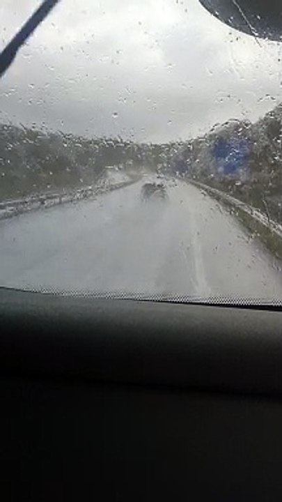 VID_20240514_143252