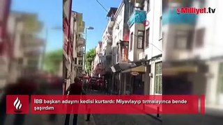 İBB başkan adayını kedisi kurtardı: Miyavlayıp tırmalayınca bende şaşırdım