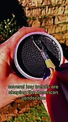 Shorts ending of all time