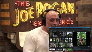Episode 2159 Sal Vulcano - The Joe Rogan Experience Video