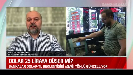 Dolar/TL için '25 lira' iddialarına ekonomistler ne diyor? "Merkez Bankası'nın atacağı adım..."
