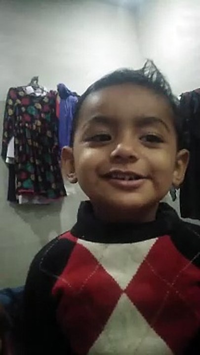 Funny videos