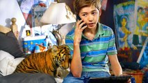 Un Tigre à Sauver | Film Complet en Français | Famille