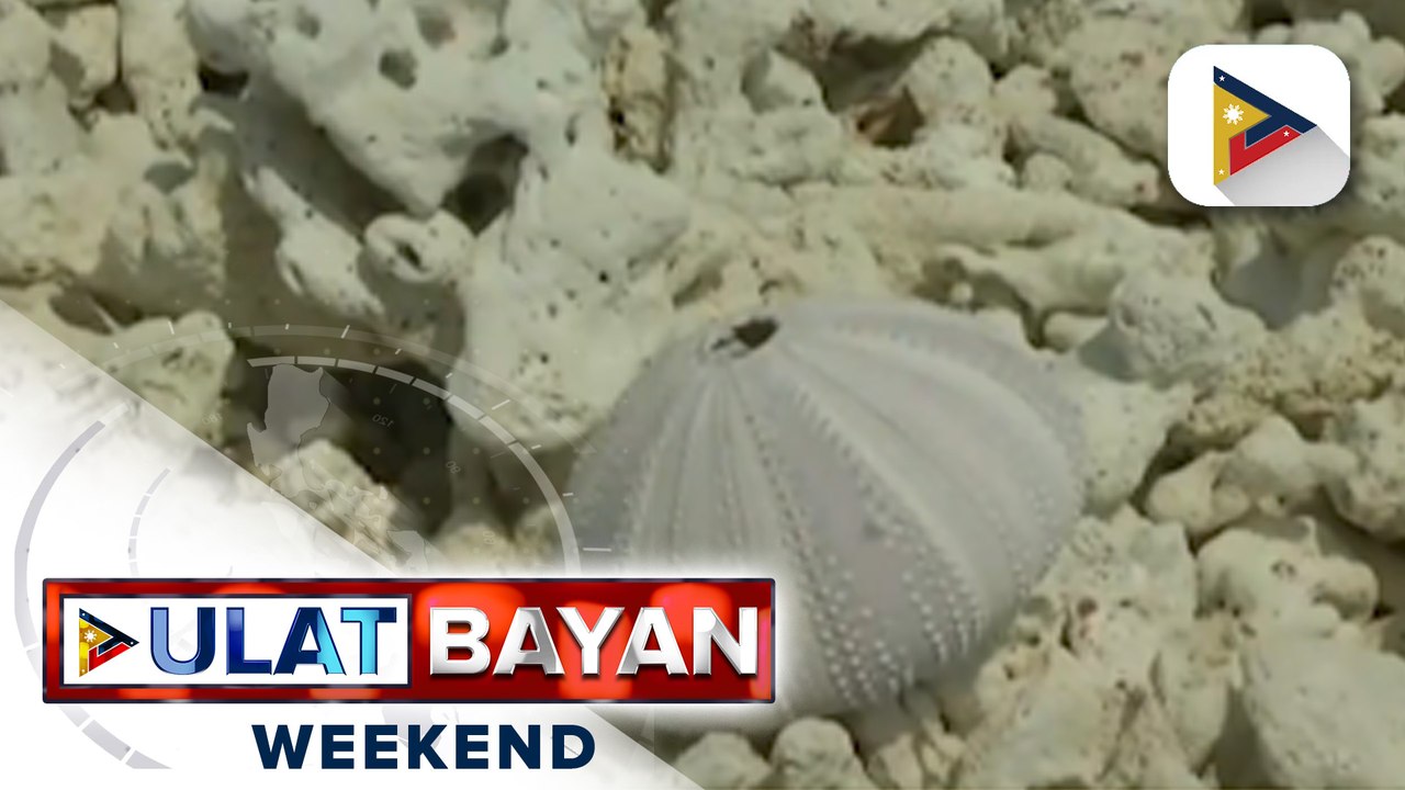 Ilang eksperto, hinikayat ang gobyerno na bumuo ng grupo ng mga espesyalista, para nakabase sa scientific evidence ang environmental case na balak ihain laban sa China