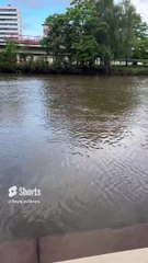 In Saarland Germany 20240_6 Ep04