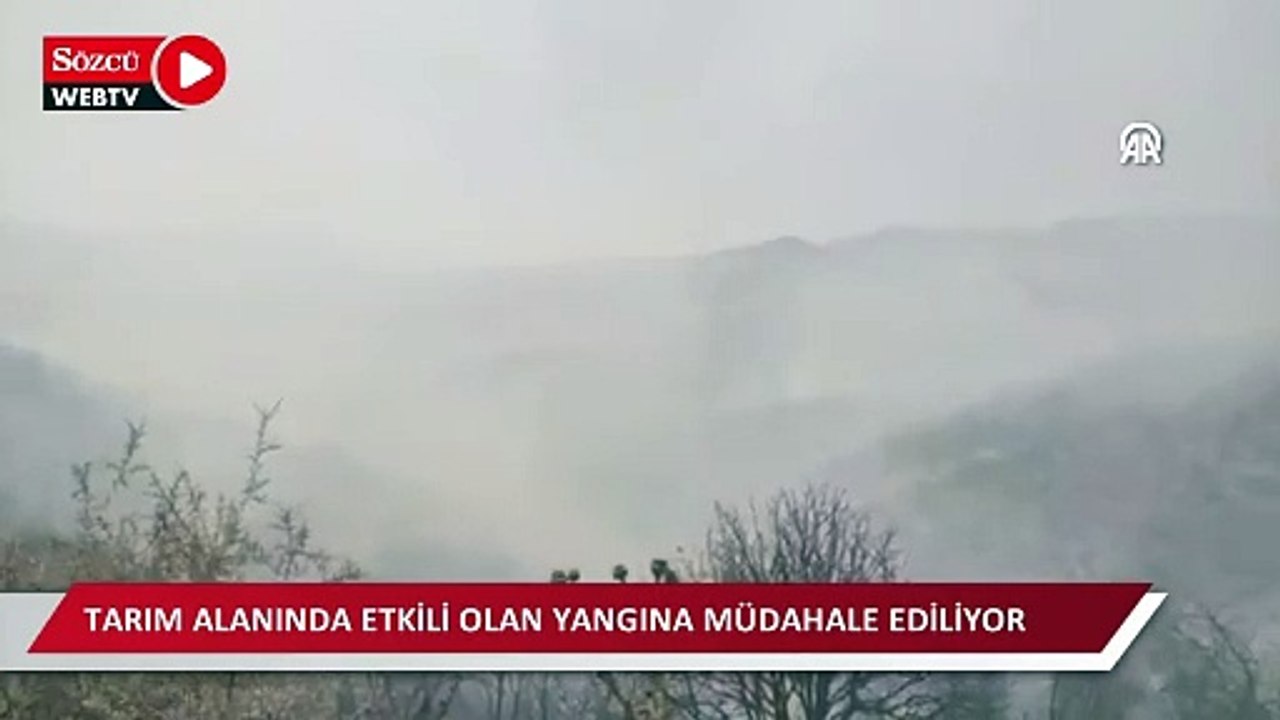 Tarım alanında etkili olan yangına müdahale ediliyor