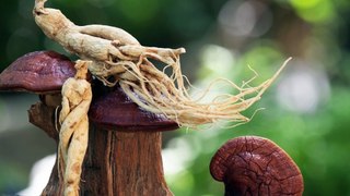 5 Manfaat Ginseng untuk Kesehatan Tubuh Rempah-Rempah Khas Korea Selatan yang mendunia