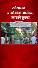 छ. संभाजीनगर सिद्धार्थ उद्यानात वाघोबांची 'अशी' घेतली जातेय काळजी..