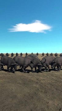 Top Fighter Buffalo vs Purussaurus Fighting 3D Animation Animal Cartoon Game
