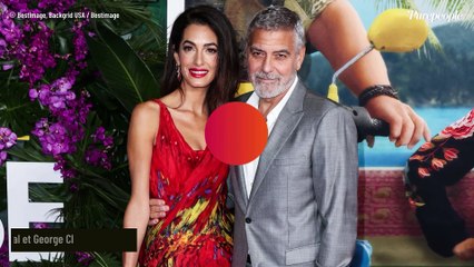 George Clooney, l'amour a littéralement frappé à sa porte Amal ! Coulisses de leur rencontre chez l'acteur en Italie