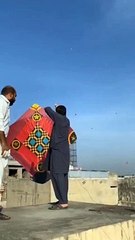 Kite flying lovers punjab