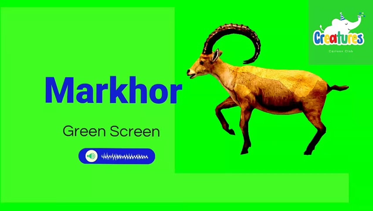 How to Green Screen Animation | How to Green Screen