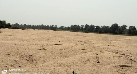 बावनथड़ी नदी में पानी की जगह नजर आ रही रेत