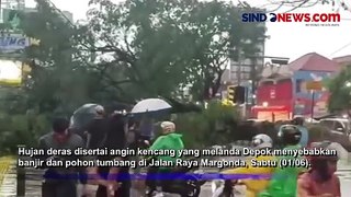 Jalan Raya Margonda Depok Macet Parah, Imbas Banjir dan Pohon Tumbang