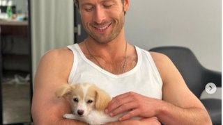 Glen Powell's dog went loose on a plane