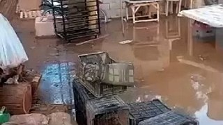 Desbordó un canal de riego e inundó una vivienda