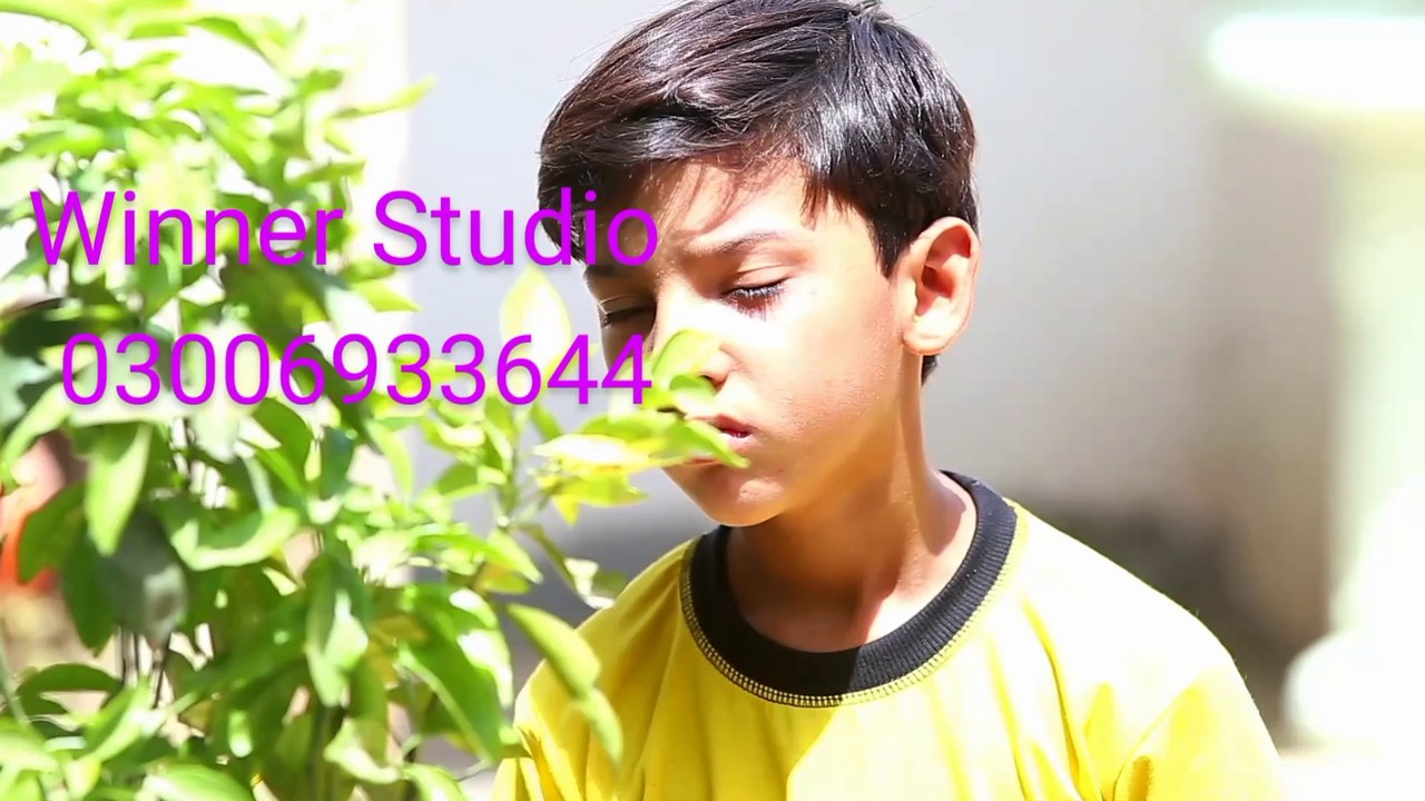 Professional video/outdoor /
