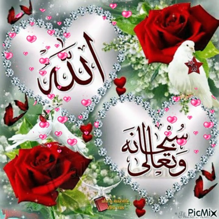 Islami video
