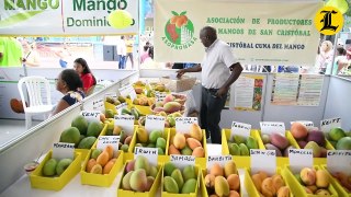 Expo Mango 2024 en Baní recibe cientos de personas