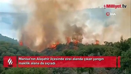 Manisa'da korkutan yangın! Havadan ve karadan müdahale sürüyor