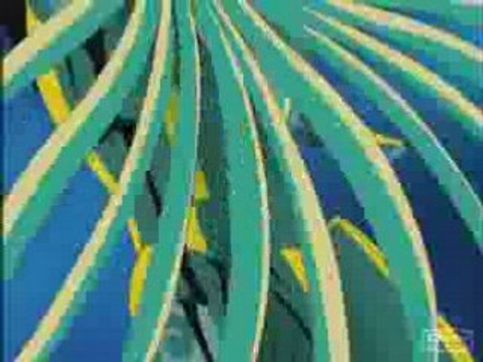 shaman king saint seiya et final fantasy 7