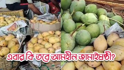 একে কম ফলন, সঙ্গে দোসর রফতানি! এবার কি তবে আমহীন থাকবে জামাইষষ্ঠী?
