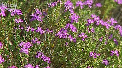 Crète _ Île de toutes les légendes I SLICE VOYAGE I DOC COMPLET