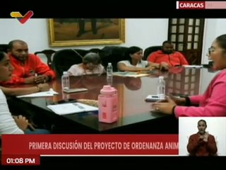 Caracas | Concejo Municipal arranca el debate para la ordenanza animalista