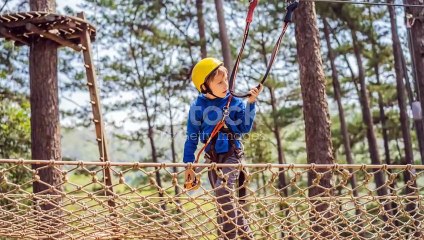 The Whispering Woods