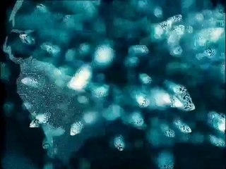 Filatures (2007) - Bande annonce