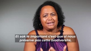 Martine Nourry, candidate Les Ecologistes-EELV