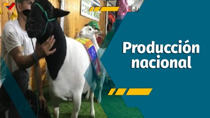 A Todo Motor por Venezuela | VI Feria Internacional Ovina y Caprina Barquisimeto 2024