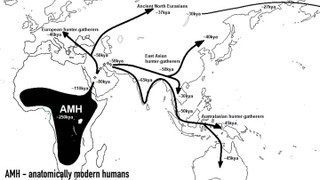 Out of Africa Theory Changed