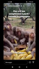 il mio compleanno i miei amici assaltano i cornetti