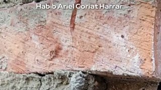 |HABIB ARIEL CORIAT HARRAR | HITOS TECNOLÓGICOS QUE CAMBIARON EL MUNDO (PARTE 1) (@HABIBARIELC)