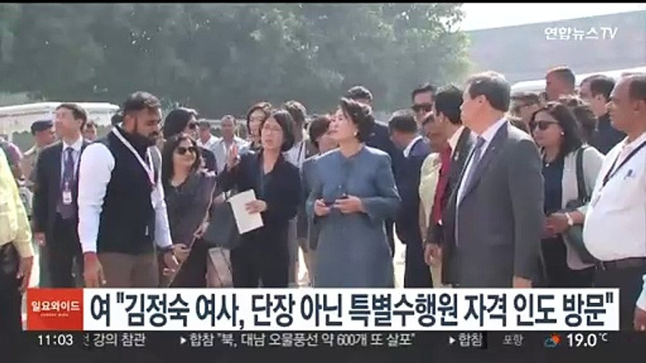 여 "김정숙 여사, 단장 아닌 특별수행원 자격으로 인도 방문"